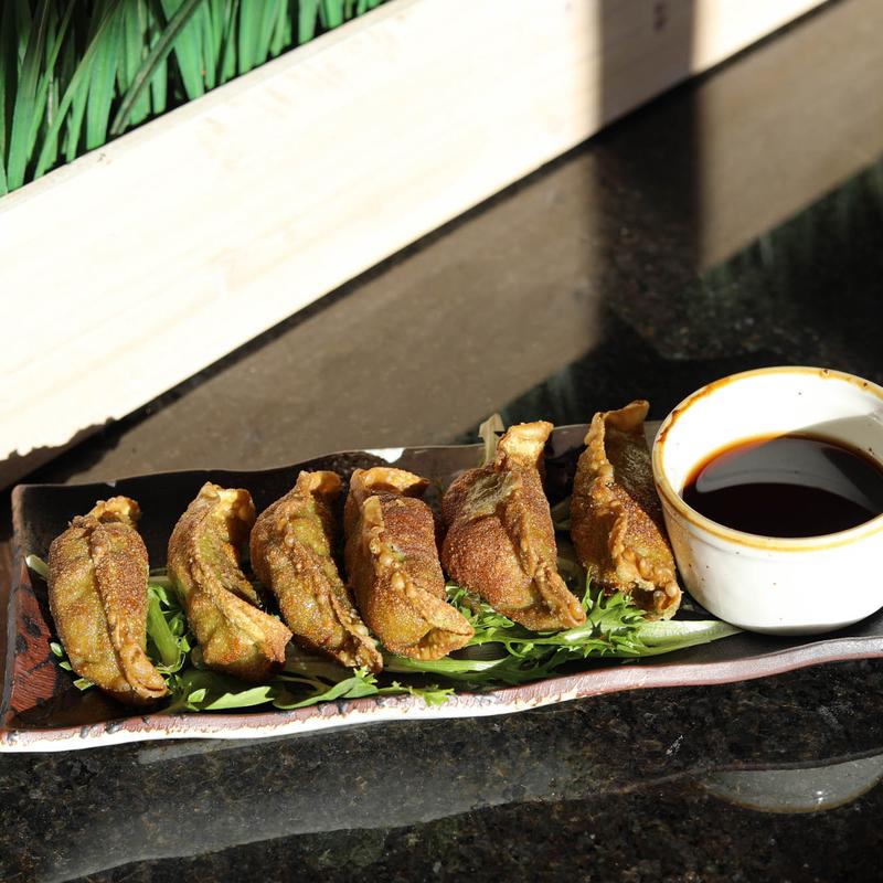 Veggie Gyoza Dumplings